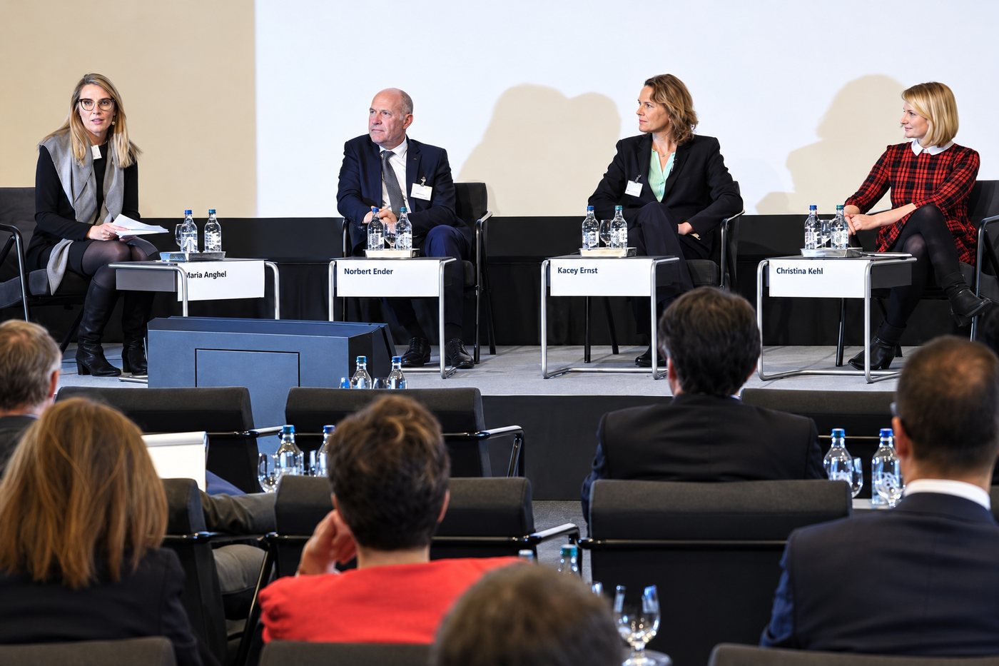 Christina Kehl on a panel with three other guests